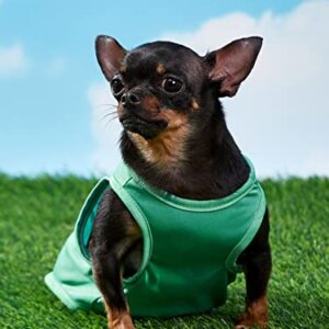 QWINEE Dog Tank Top Cute Letter Cat Shirt Breathable Casual Sports Vest for Small Medium Dogs Puppy Kitten Green XXS