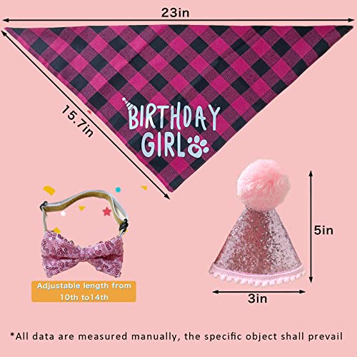 Dog Birthday Party Supplies, Dog Birthday Party Decoration Set, Dog Cute Hat Triangle Scarf Bow Dog Head Banner and Cute Balloon, Used for Dog Birthday Party Decoration (Pink)