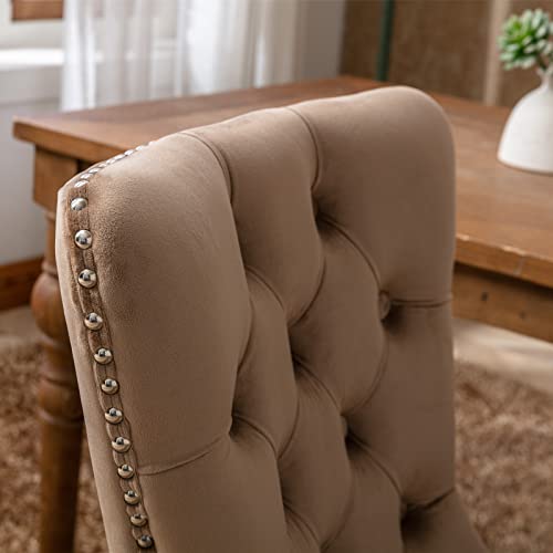 Danxee High-end Velvet Dining Room Chairs Upholstered Elegant Tufted Chair with Luxurious Button Nailed Trim Ring Pull Armless Accent Chair (Khaki, Set of 4)