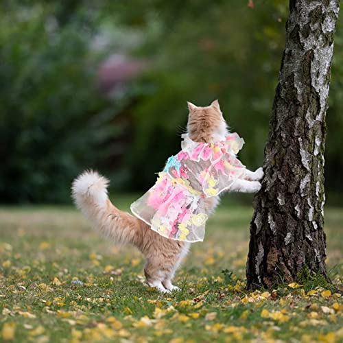 HonpraD Cute Girl Dog Clothes for Small Dogs Cotton Dress Spring and Summer Pet Clothes Spring Cute Pet Supplies Cotton Peach Dress Female Cat Outfits for Small Cats