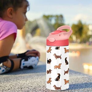 xigua Kids Water Bottles 12oz Cute Dogs Dachshunds Insulated Bottle with Straw Lid Stainless Steel Tumbler Vacuum Cup Thermal Bottles