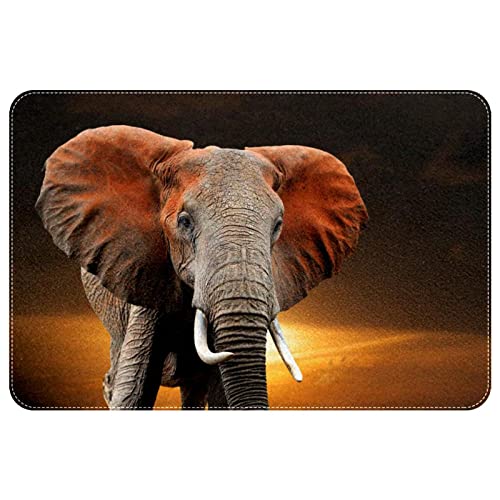 Kenya Old Large Elephant Sunset, Indoor Door Mat Durable Front Door Mats Entryway Rug Non-Slip Absorbent Area Rugs Resist Dirt Rugs for Room Decor, 24"x16"