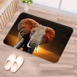 Kenya Old Large Elephant Sunset, Indoor Door Mat Durable Front Door Mats Entryway Rug Non-Slip Absorbent Area Rugs Resist Dirt Rugs for Room Decor, 24"x16"