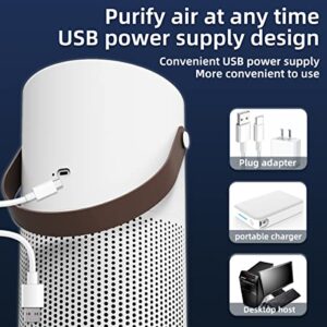 Air Purifiers for Bedroom Home,4 Layers True HEPA Air Filter,20db Quiet HEPA Filter for Dust Smoke Pollen Pet Dander Hair Odor,Small Air Purifier for Office Living Room,Ozone-Free,323 ft² Coverage