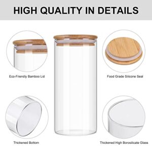 VGIGCICV 10Pcs Set of big mouth glass jars storage for kitchen organization,up to 45oz glass can, silicone bag for leftovers