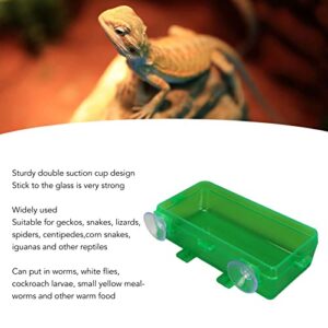 Reptile Feeding Food Water Bowl, Sturdy High Hardness Wall Mounted Green Removable Suction Cup Reptile Feeder Escape Proof for Bearded Dragon for Lizard (L)