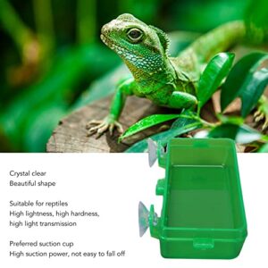 Reptile Feeding Food Water Bowl, Sturdy High Hardness Wall Mounted Green Removable Suction Cup Reptile Feeder Escape Proof for Bearded Dragon for Lizard (L)