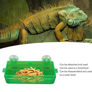 Reptile Feeding Food Water Bowl, Sturdy High Hardness Wall Mounted Green Removable Suction Cup Reptile Feeder Escape Proof for Bearded Dragon for Lizard (L)