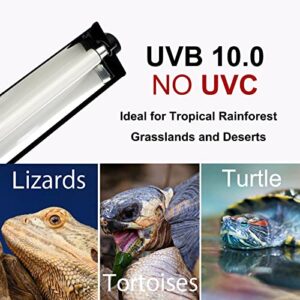 Giangarden T5 UVB Lighting Combo Kit, Reptile Light Fixture with UVB 10.0 Fluorescent Tube Ideal for Tropical and Deserts Such as Bearded Dragon Lizards and Tortoises(8W-13in)