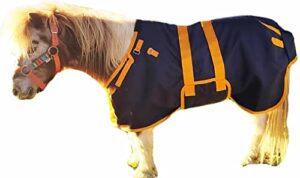 challenger 40" 1200d lightweight miniature weanling donkey pony foal horse sheet 51503