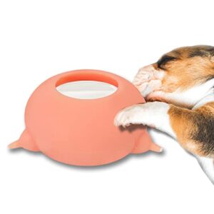 Puppy Milk Feeder with 4 Nipples Milk Bowl Puppy Feeder 200ml Puppy feeders for Multiple Puppies Puppy Nursing Station for Feeding Small Newborn Pets Within Two Weeks (Pink)