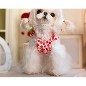 IULJH Pet Clothes Puppy Dress Dog Dress Summer Red Lace Flower Princess Costume (Color : D, Size : Lcode)