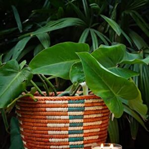 Artizenway Handmade Boho Woven Plant Basket - Basket Planter Cover For Indoor And Outdoor Plants, Made From Date Palm Leaves – Suitable For Decorative Pattern Baskets, Storage Organizer Basket