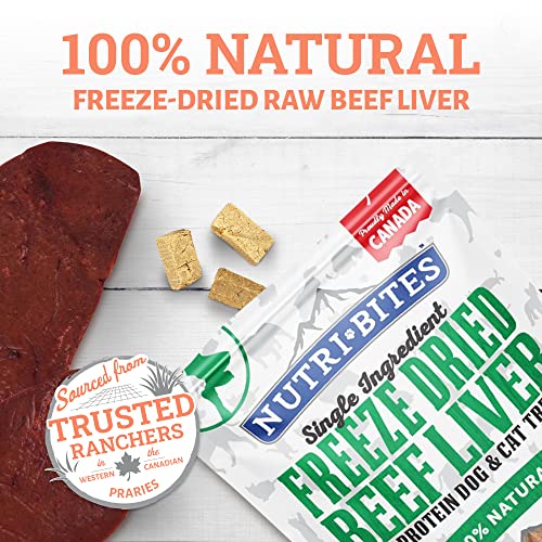 Nutri Bites Freeze Dried Liver Treats for Dogs & Cats - High-Protein Single Ingredient Freeze Dried Dog Treats, Beef Liver - Grain Free, Easy to Digest - Proudly Made in Canada - 500g / 17.6oz (3pk)