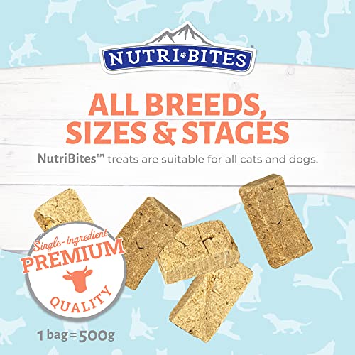 Nutri Bites Freeze Dried Liver Treats for Dogs & Cats - High-Protein Single Ingredient Freeze Dried Dog Treats, Beef Liver - Grain Free, Easy to Digest - Proudly Made in Canada - 500g / 17.6oz (3pk)