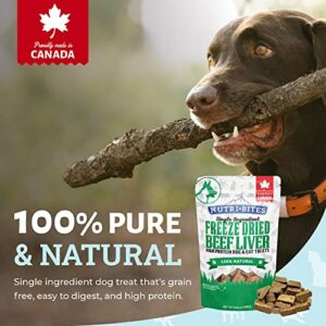 Nutri Bites Freeze Dried Liver Treats for Dogs & Cats - High-Protein Single Ingredient Freeze Dried Dog Treats, Beef Liver - Grain Free, Easy to Digest - Proudly Made in Canada - 500g / 17.6oz (3pk)