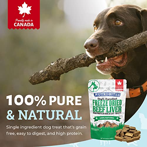 Nutri Bites Freeze Dried Liver Treats for Dogs & Cats - High-Protein Single Ingredient Freeze Dried Dog Treats, Beef Liver - Grain Free, Easy to Digest - Proudly Made in Canada - 500g / 17.6oz (3pk)