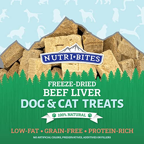 Nutri Bites Freeze Dried Liver Treats for Dogs & Cats - High-Protein Single Ingredient Freeze Dried Dog Treats, Beef Liver - Grain Free, Easy to Digest - Proudly Made in Canada - 500g / 17.6oz (3pk)