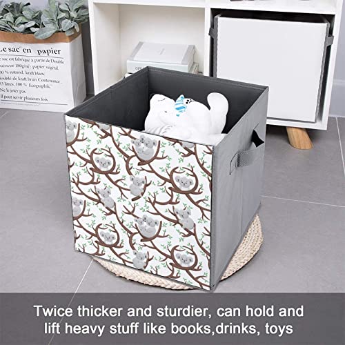 Funny Cartoon Koalas Large Cubes Storage Bins Collapsible Canvas Storage Box Closet Organizers for Shelves