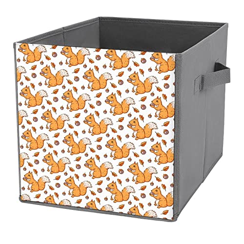 Cute Squirrel and Nuts Large Cubes Storage Bins Collapsible Canvas Storage Box Closet Organizers for Shelves