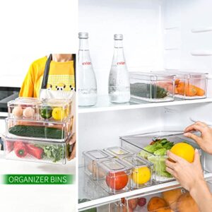 Plexel Refrigerator Organizer Bins, Fridge Organizer, Clear Plastic Food Storage Containers, Contenedores Para Organizar Cocina, Pantry Organization And Storage, with Removable Drain Tray. (3)