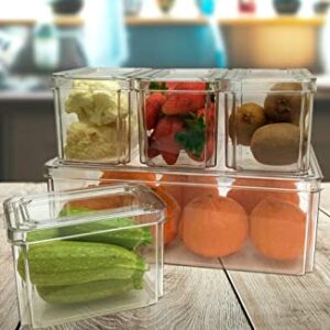 Plexel Refrigerator Organizer Bins, Fridge Organizer, Clear Plastic Food Storage Containers, Contenedores Para Organizar Cocina, Pantry Organization And Storage, with Removable Drain Tray. (3)