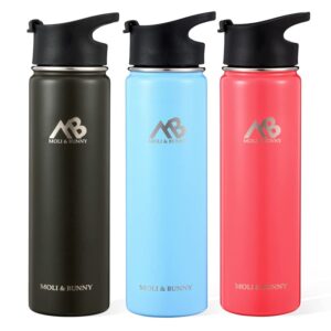 MOLI & BUNNY 22 oz Stainless Steel Water Bottle For Kids and Adults. Wide Mouth Vacuum Insulated Water Bottle For Sports and Travel. BPA Free Modern Leak Proof Water Bottle