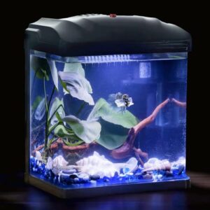 TARARIUM Glass Betta Fish Tank Set Up Aquarium Starter Kit Small Nano 1.8 Gallon with Quiet Waterfall Filter and Planted Light, Self Cleaning for Shrimp Goldfish Desktop Office Home Room Decor