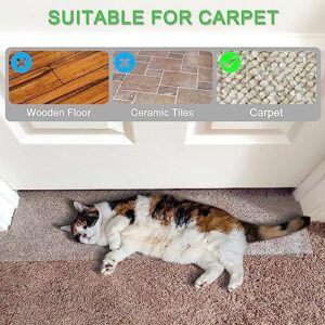 BiirBlue 8.2ft Carpet Protector for Pets, Cat Carpet Protector for Doorway, Anti Scratch Under Door Cat Scratch Protector Mat, Easy to Cut and Clean Plastic Carpet Scratch Stopper