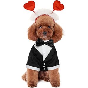 Ausejopeac Valentine's Day Dog Costume Pet Heart Headband for Dog Cat Glitter Valentine's Day Supplies