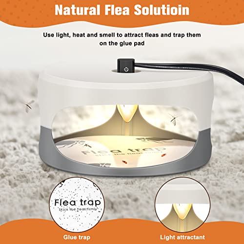 UPYEAL Flea Trap 2 Packs – Premium Traps for Inside Your Home Natural and Child-Friendly Light Indoor with Glue Discs Refills LED Lightbulb