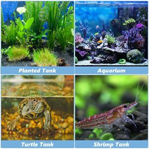 TOHIDAQU Aquarium Fish Tank Filters - 5W 130GPH Hang On Aquarium Filter with Surface Skimmer - Quiet Adjustable Waterfall Turtle Filter for 10-20 Gallon…