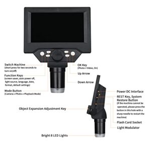 LCD Digital Microscope, 5.5inch 10MP USB 1080P 1000X Magnification Zoom Coin Microscope for Adults, Computer Stereo Microscope, 8 LED Lights, Battery 3000mAh, Stand