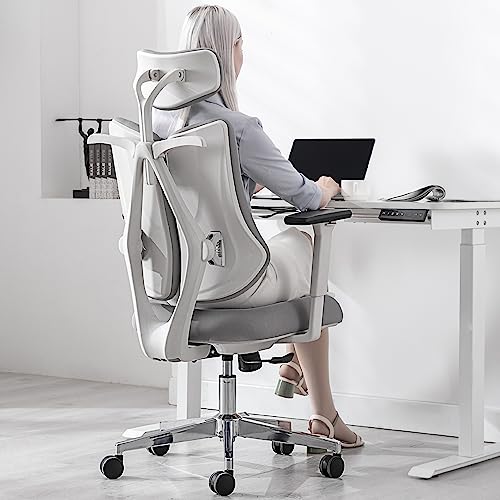 BV Dual Backrests Ergonomic Office Chair, Lumbar Support Office Desk Chair Back Support, Breathable mesh Office Chair 3D Adjustable Armrest (Grey)