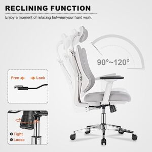 BV Dual Backrests Ergonomic Office Chair, Lumbar Support Office Desk Chair Back Support, Breathable mesh Office Chair 3D Adjustable Armrest (Grey)