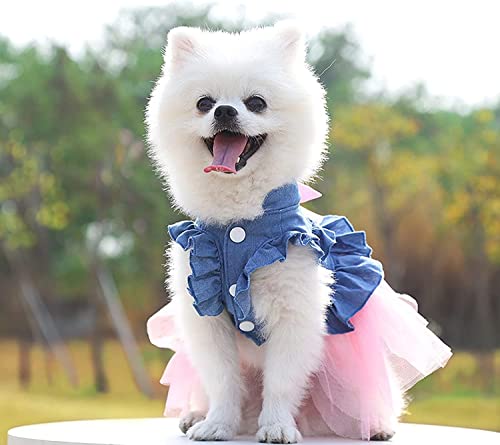 Harikaji Pet Clothes, Sweet Bowknot Small Dog Skirt Girl Tutu Clothing Puppy Cat Sleeveless Apparel Teddy Clothes Wedding Dresses for Spring and Summer (XL)