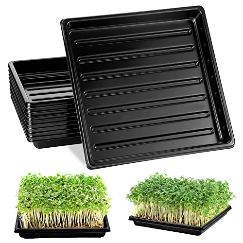 10 Pack Garden Plant Growing Trays Without Holes - 10" X 10" No Drain Holes Microgreens Growing Trays, Seedling Tray, Wheatgrass Sprouting Tray, Hydroponic Trays, Greenhouse Seed Starter Trays