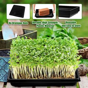 10 Pack Garden Plant Growing Trays Without Holes - 10" X 10" No Drain Holes Microgreens Growing Trays, Seedling Tray, Wheatgrass Sprouting Tray, Hydroponic Trays, Greenhouse Seed Starter Trays