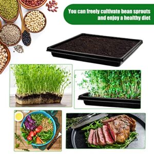 10 Pack Garden Plant Growing Trays Without Holes - 10" X 10" No Drain Holes Microgreens Growing Trays, Seedling Tray, Wheatgrass Sprouting Tray, Hydroponic Trays, Greenhouse Seed Starter Trays