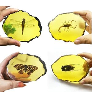 amber fossils insect samples artificial amber insect specimen pendant stone decoration crystal samples collection science education dragonflies, cicadas, scorpions, butterflies (4 combinations)