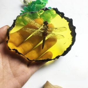 Amber Fossils Insect Samples Artificial Amber Insect Specimen Pendant Stone Decoration Crystal Samples Collection Science Education Dragonflies, Cicadas, Scorpions, Butterflies (4 Combinations)