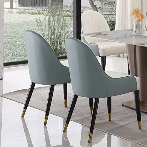 Montary Dining Chairs Set of 2, Mid Century Modern Faux Leather Chair with Solid Wood Metal Legs and Ergonomic Backrest for Living Kitchen Dining Room Chairs (Not Include Table)