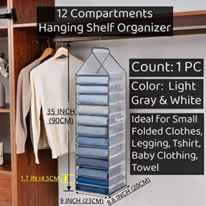 Fordonral Hanging Closet Organizer 12 Shelves, Small Compartments Wardrobe Hanging Organizer for T Shirt Towel Legging Organizer, Space Saving Closet Organizers and Storage, 1 Pack