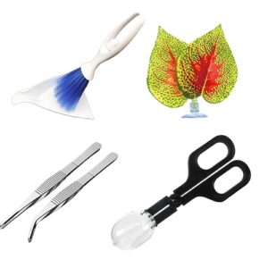 phypoble 5pcs reptile supplies set, include a reptile feeding tongs, two stainless steel tweezers, mini dustpan, brush and leave for hamsters, turtle, chameleon, snake, spider and other small animals