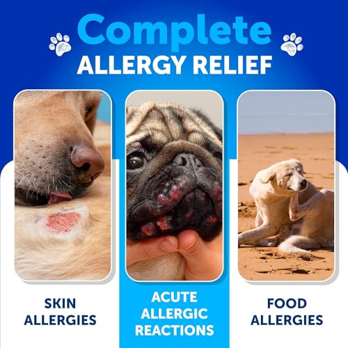 Dog Allergy Relief Chews - Itch Relief for Dogs - Fish Oil - Omega 3 - Itchy Skin Relief - Seasonal Allergies - Anti Itch Support & Hot Spots - Immune Health Supplement for Dogs - Made in USA