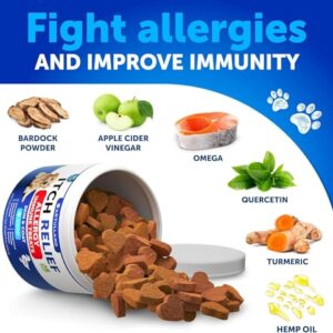 Dog Allergy Relief Chews - Itch Relief for Dogs - Fish Oil - Omega 3 - Itchy Skin Relief - Seasonal Allergies - Anti Itch Support & Hot Spots - Immune Health Supplement for Dogs - Made in USA