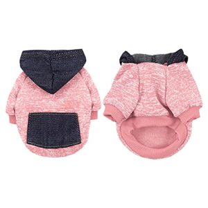 Small Dog Dress Sweater Pet Autumn and Winter Sweatshirt Matching Hooded Two-Legged Fleece Warm Pocket Clothing Extra Small Puppy Clothes Girl