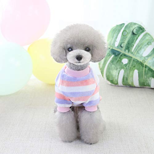 HonpraD Pet Clothes Rainbow Fleece Warm Autumn and Winter Dog Clothes Cute Female Dog Sweaters Shirt