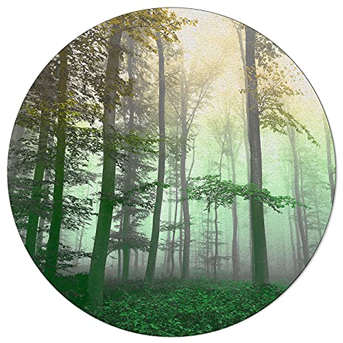Ombre Yellow and Green Nature Forest Tree Fog Round Area Rugs Collection 5', Forest Fantasy Fog Magic Woodland Indoor Circular Throw Runner Rug Floor Mat Carpet for Living Room Bedroom Nursery Decor