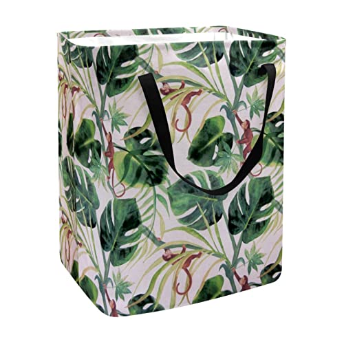 Cute Monkey Climbing Tropical Leaves Print Collapsible Laundry Hamper, 60L Waterproof Laundry Baskets Washing Bin Clothes Toys Storage for Dorm Bathroom Bedroom